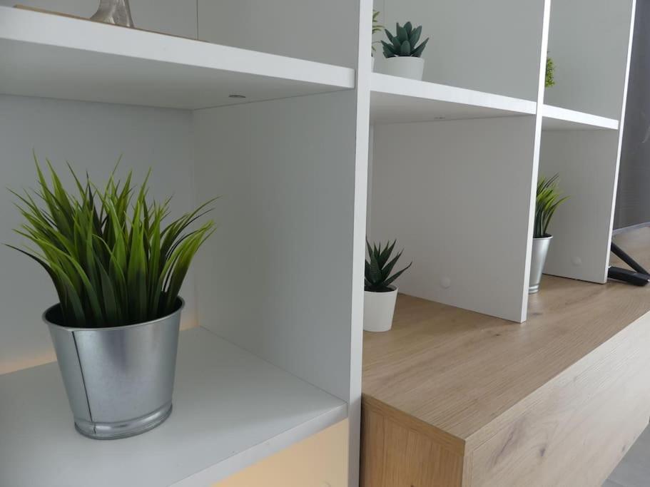 19 Piso Centrico, Nuevo Y Bien Equipado En La Trinidad Appartement La Laguna  Buitenkant foto