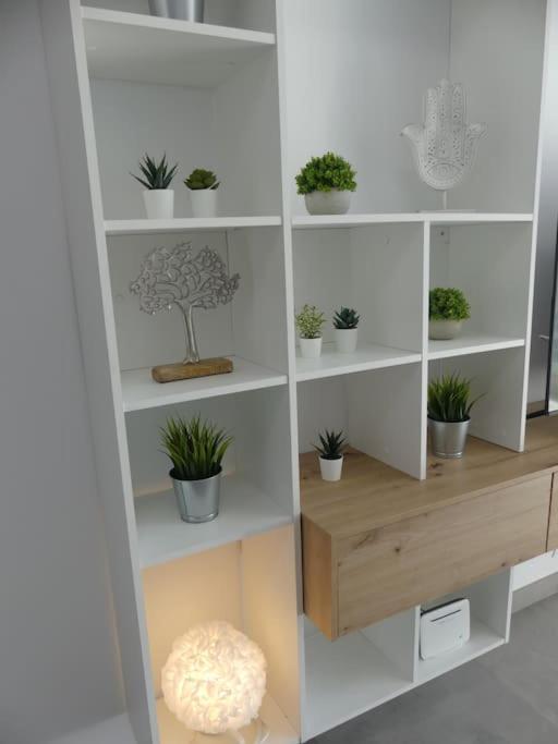 19 Piso Centrico, Nuevo Y Bien Equipado En La Trinidad Appartement La Laguna  Buitenkant foto